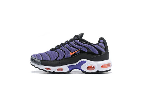 TN VIOLET